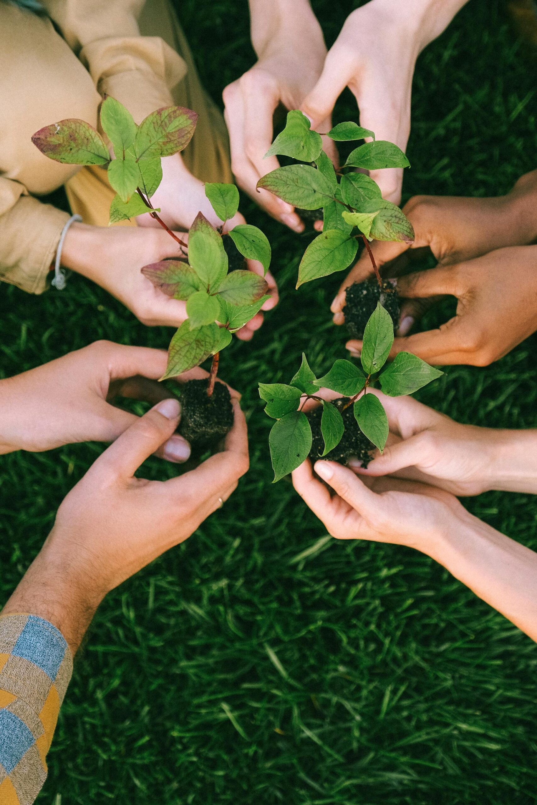 5 Komunitas Peduli Lingkungan untuk Kamu yang Ingin Berkontribusi dalam Menjaga Bumi